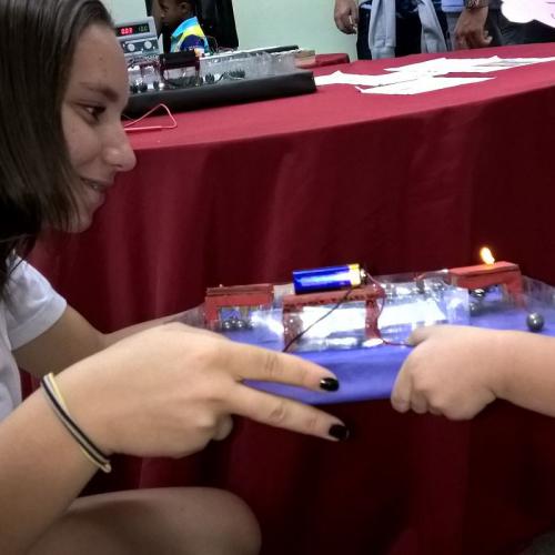 III Congresso de Ensino, Pesquisa e Extensão (CONEPE) - 2016